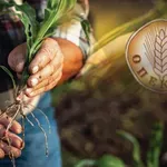 ΠΟΓΕΔΥ: Αποτυχία πληρωμής ΟΠΕΚΕΠΕ – Η προκαταβολή μετατράπηκε σε φιάσκο