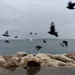 Ο καιρός σήμερα 10 Φεβρουαρίου