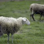 Προσλήψεις 49 ατόμων στο ΥπΑΑΤ