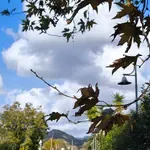 Καιρός: Επιστρέφει το καλοκαίρι – Έως 34 βαθμούς από την Κυριακή