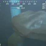 Τρόμος στο βυθό: Δείτε τι κατέγραψε υποβρύχια κάμερα!