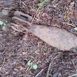 Ευρυτανία: Πεζοπόροι βρήκανε όλμο του Β’ Π.Π.