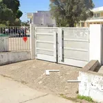 Αμαλιάδα: Ξυλοδαρμός 13χρονης από δυο συμμαθήτριές της – Την έστειλαν στο νοσοκομείο