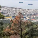 Ο αστείρευτος πλούτος των βοτάνων της Θεσσαλονίκης