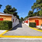ΔΥΠΑ: Πότε θα ανακοινωθούν τα οριστικά αποτελέσματα για τις παιδικές κατασκηνώσεις
