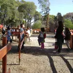 ΔΥΠΑ: Βγήκαν τα προσωρινά αποτελέσματα για τις παιδικές κατασκηνώσεις