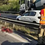 Τροχαίο με αγριογούρουνο στην εθνική Αθηνών -Κορίνθου