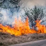 Κίνδυνος πυρκαγιών σε κατοικημένες περιοχές δήμου από ακαθάριστα δημοτικά οικόπεδα