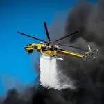 Φωτιά τώρα στη Βοιωτία