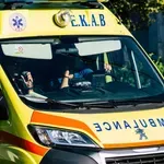 Ζάκυνθος: Γουρούνα «τράκαρε» με τουριστικό λεωφορείο