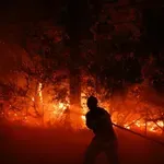 Πύρινος εφιάλτης σε Γαλλία και Ισπανία – Μαζικές εκκενώσεις κοντά στο Μπορντό