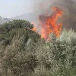 Διάσπαρτα πύρινα μέτωπα σε όλη στη χώρα -Μεγάλη μάχη των πυροσβεστών (χάρτης)