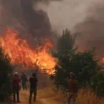 Μαίνεται η φωτιά στη Δυτική Αττική -Η πυρκαγιά μπήκε στην Αγία Σκέπη