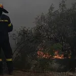 Ήχησε το 112 στο Νότιο Πήλιο- Φωτιά στη Μικρή Πάου