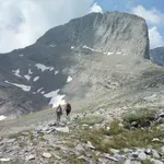 Τραγωδία στον Όλυμπο: Νεκρός 32χρονος σε φαράγγι