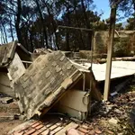 Φωτιές σε Αττική & Βοιωτία: Αυτά είναι τα μέτρα στήριξης για τους πυρόπληκτους