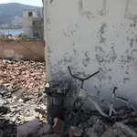 Θεόδωρος Γιάνναρος: Έτσι θα μπορούσαμε να είχαμε προλάβει τις μεγάλες πυρκαγιές