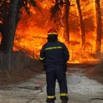 Κίνδυνος πυρκαγιάς σήμερα: Ποιες περιοχές είναι σε συναγερμό (χάρτης)