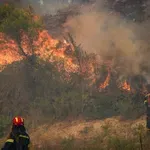 Κίνδυνος Πυρκαγιάς: Ποιες περιφερειακές ενότητες βρίσκονται στο “κίτρινο” σήμερα 20/8