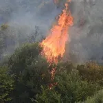 Φωτιά στις Βαμβακές Κορινθίας – Σηκώθηκαν ελικόπτερα και αεροσκάφη