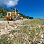 Αντεπίθεση δασικών υπαλλήλων για την κριτική στο πρόγραμμα Antinero