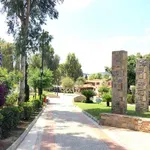 Περιστέρι: Κλειστά το Άλσος και το Πάρκο Νέας Ζωής λόγω κινδύνου πυρκαγιάς