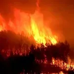 Χάρτης Πρόβλεψης Κινδύνου Πυρκαγιάς: Αυτές οι περιοχές βρίσκονται σε “πορτοκαλί” συναγερμό