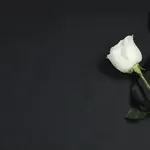 Θλίψη για τον θάνατο δημοτικού υπαλλήλου- Ψήφισμα του Δημοτικού Συμβουλίου
