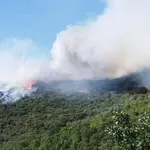 Θεσσαλονίκη: Πυρκαγιά ξέσπασε στο Νέο Ρύσιο