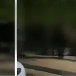 Κύπρος: Βίντεο καταγράφει ομαδικό ξυλοδαρμό ανηλίκου – Νοσηλεύεται με κάταγμα