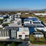 Ιστορική απόφαση για Ελληνική Ζυθοποιία – Αποζημίωση 111 εκατ. ευρώ από τη Heineken