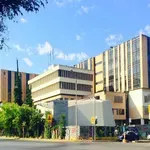 ΠΑΜΑΚ: Παρέμβαση Εισαγγελίας για πτώση βέργας σε αίθριο με φοιτητές