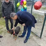 Δήμαρχος Σπάρτης: «Η προστασία των ζώων είναι υπόθεση όλων μας»