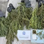 Πέλλα: Κρεμασμένες φούντες κάνναβης βάρους 12,2 κιλών σε αποθήκη -Συνελήφθη ο ιδιοκτήτης