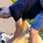 Psom sa VOLI NOMADSKI