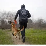 Θεσσαλονίκη: Αστυνομικός σκύλος «ξετρύπωσε» ναρκωτικά στο σπίτι 31χρονου