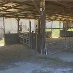 ΥΠΑΑΤ: Ποσό 10 εκατ. ευρώ στις Περιφέρειες για αποζημιώσεις λόγω ευλογιάς