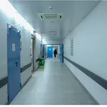 Πάτρα: Νέα τροπή πήρε η υπόθεση του θανάτου του νηπίου – Ο 25χρονος κατέθεσε ότι έπεσαν μαζί με το παιδί από «γουρούνα»