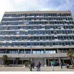 Άγνωστοι πέταξαν μπογιές στο προαύλιο του κτιρίου Διοίκησης ΑΠΘ