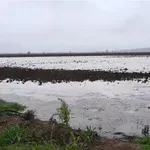 Σοβαρά προβλήματα από την ισχυρή βροχόπτωση στην Ηλεία