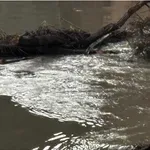 Υπερχείλισαν ποτάμια στην Ήπειρο