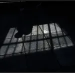 Στη φυλακή 28χρονος που ανάγκαζε 13χρονη να του στέλνει γυμνές φωτογραφίες και βίντεο