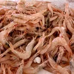 Περιφέρεια Αττικής: Νέες κατασχέσεις 5,6 τόνων ακατάλληλων τροφίμων - Ν. Χαρδαλιάς: Δεν σταματάμε, η προστασία της δημόσιας υγείας δεν είναι διαπραγματεύσιμη