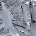 Στα λευκά η Δίρφυς – Υπό το μηδέν η Εύβοια