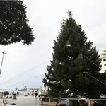 Σήμερα η φωταγώγηση του Χριστουγεννιάτικου δέντρου στη Θεσσαλονίκη
