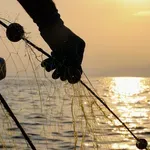 Βραζιλία -1.400 κέφαλοι σε μια ψαριά