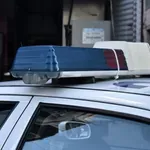 Μαζική θανάτωση σκύλων με δηλητηριασμένα δολώματα στον Βάβδο της Χαλκιδικής