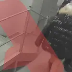 Οι βιντεοκλήσεις με την 19χρονη και ο μυστηριώδης “Δημήτρης”- Κατάθεση 66χρονου για τη μοιραία βραδιά