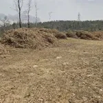 Δημοσιεύθηκε η ΚΥΑ για τα μέτρα προληπτικής πυροπροστασίας και τον καθαρισμό οικοπέδων