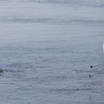 Τουλάχιστον 6 τραυματίες από τον ισχυρό σεισμό στην Ιαπωνία